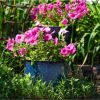 Dinah 12.5" Metal Outdoor Plant Pot Set with Drainage Holes and Rubber Plugs - Image 2