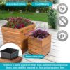 Indoor/Outdoor Wooden Planter Boxes - Image 2