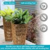 Hyacinth 11" Tall Square Outdoor Planter - Image 4