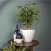 11.25" Raised Honeycomb Pattern Glazed Ceramic Plant Pot Set - Image 3