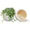 11.25" Raised Honeycomb Pattern Glazed Ceramic Plant Pot Set - Image 6