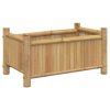 Planter 19.7"x11.8"x9.8" Bamboo