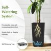 Modern Flower Planter for Front Porch and Lobby Stylish and Durable Design - Image 7