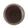 Natural Accents for Your Outdoor Oasis - Image 6