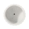 Introducing: Sleek and Stylish Plant Pots for the Modern Plant Enthusiast - Image 8