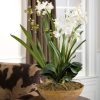 Uttermost Moth Orchid Planter - Image 2