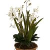 Uttermost Moth Orchid Planter