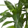 Nearly Natural 43" Dracaena Real Touch Plant - Image 2