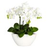 Nearly Natural Phalaenopsis Flower Arrangement