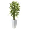 Nearly Natural 5' Bamboo UV