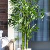 Nearly Natural 5' Bamboo UV - Image 3